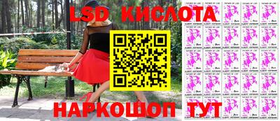 стаф Берёзовский