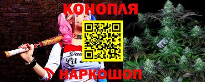 стаф Берёзовский