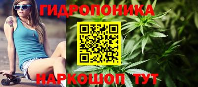 стаф Берёзовский