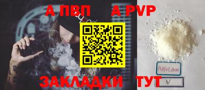 стаф Берёзовский